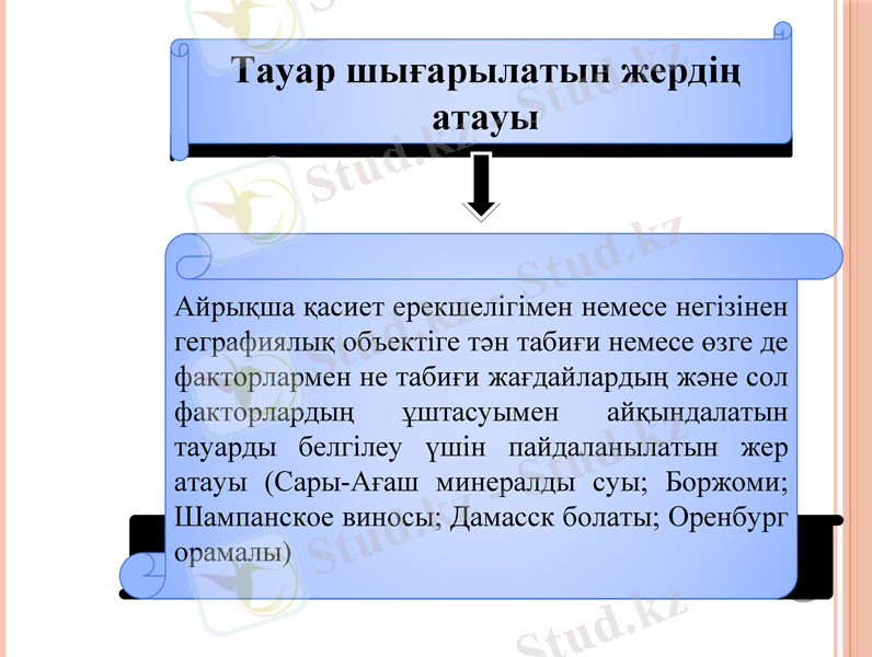Slide 11