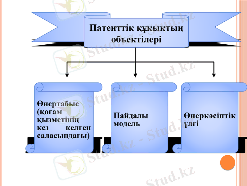 Slide 7