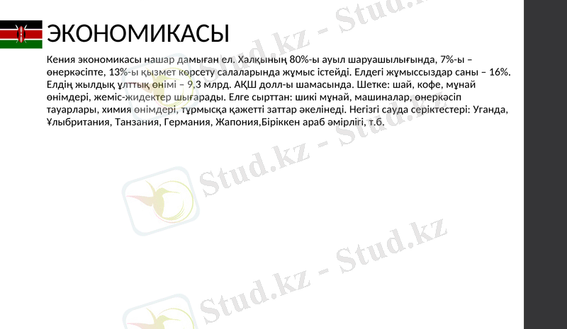 Slide 23