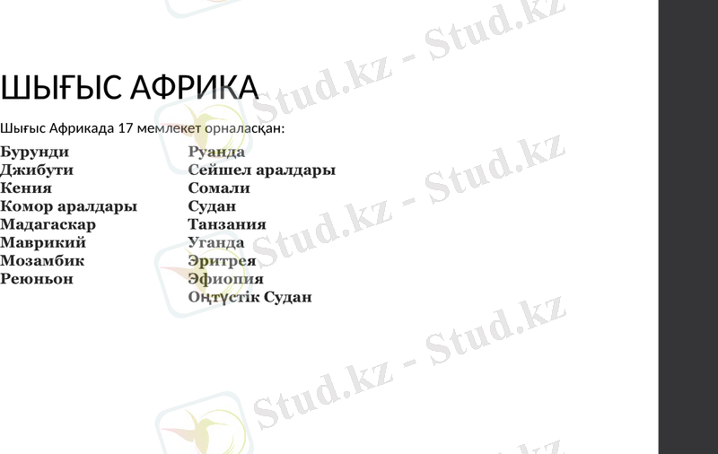 Slide 6