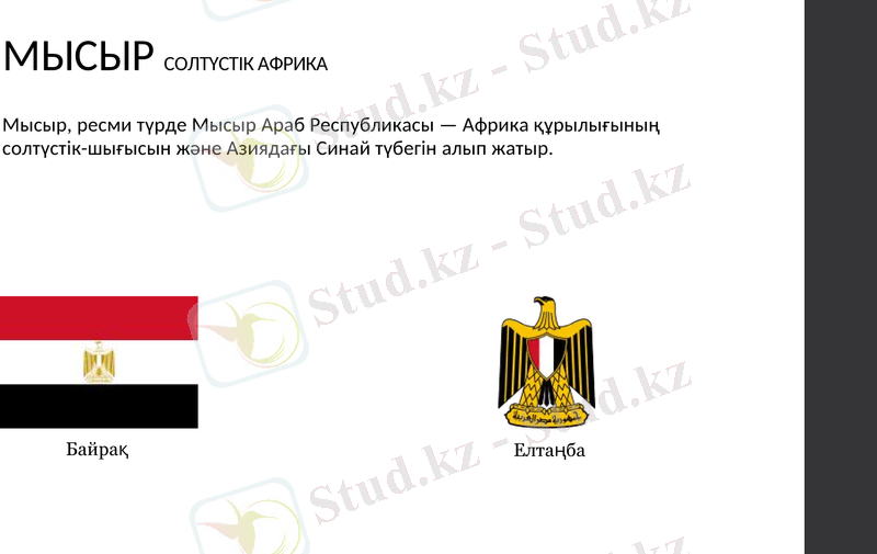 Slide 8