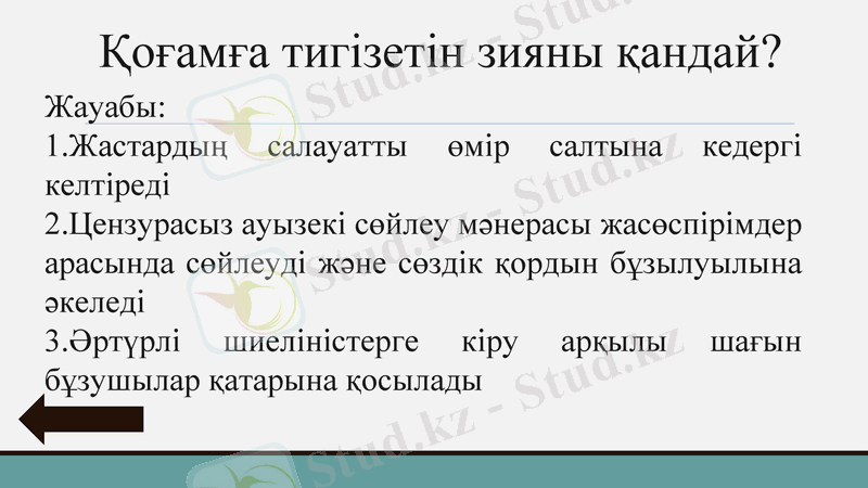 Slide 11
