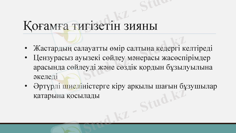 Slide 8