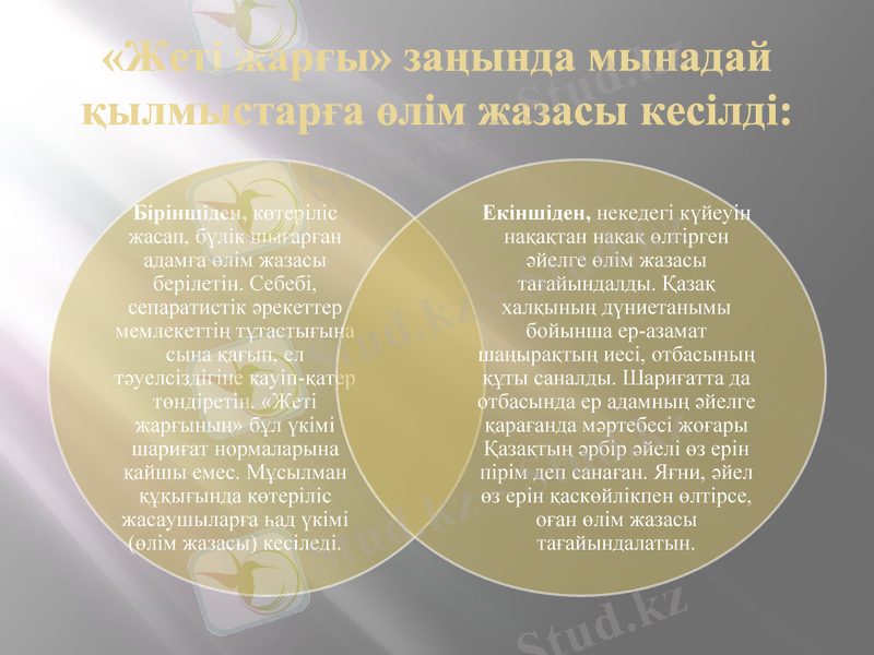 Slide 6