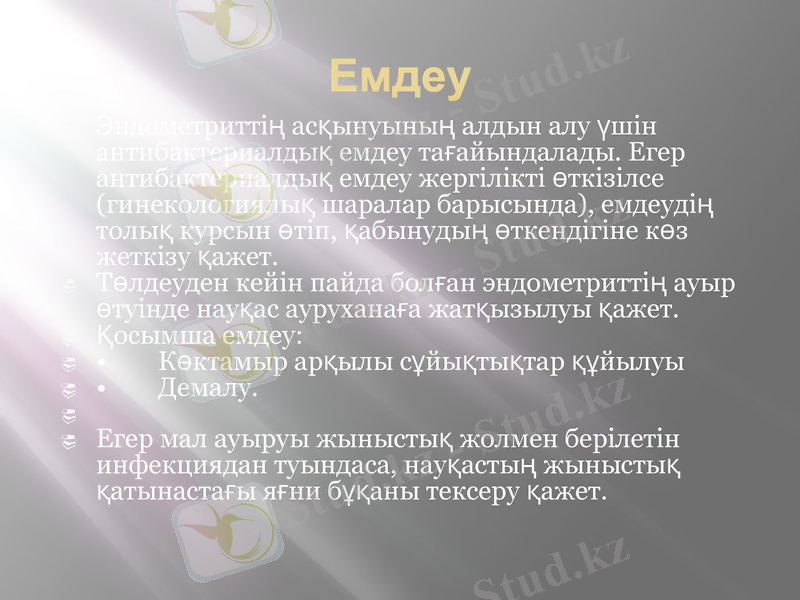 Slide 6