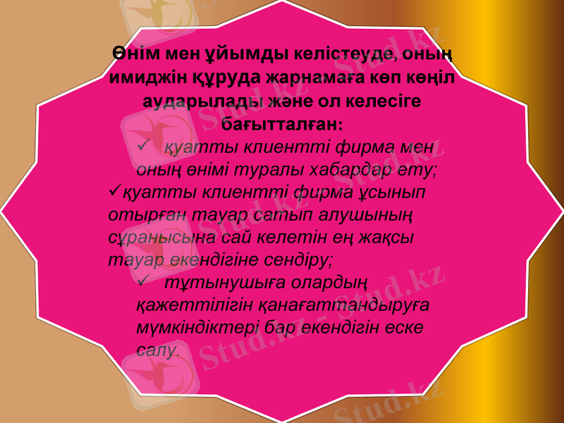 Slide 13