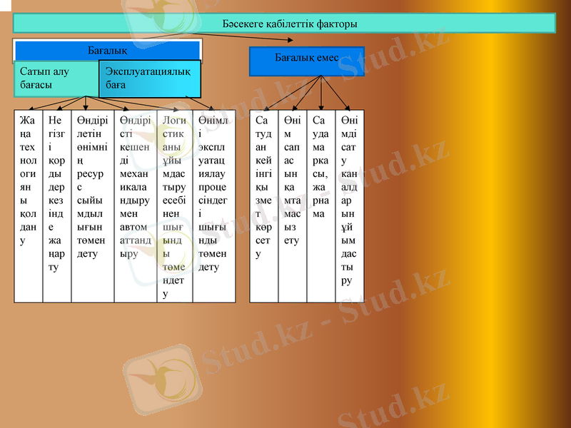 Slide 8