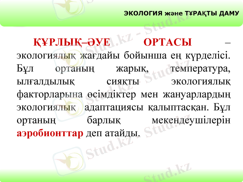 Slide 10