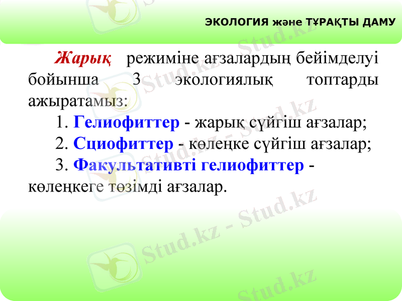 Slide 11