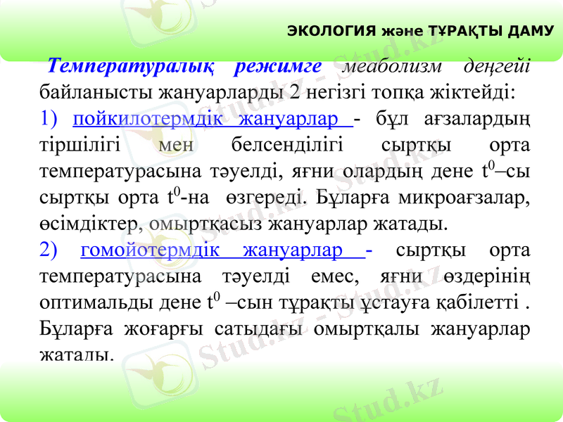 Slide 12