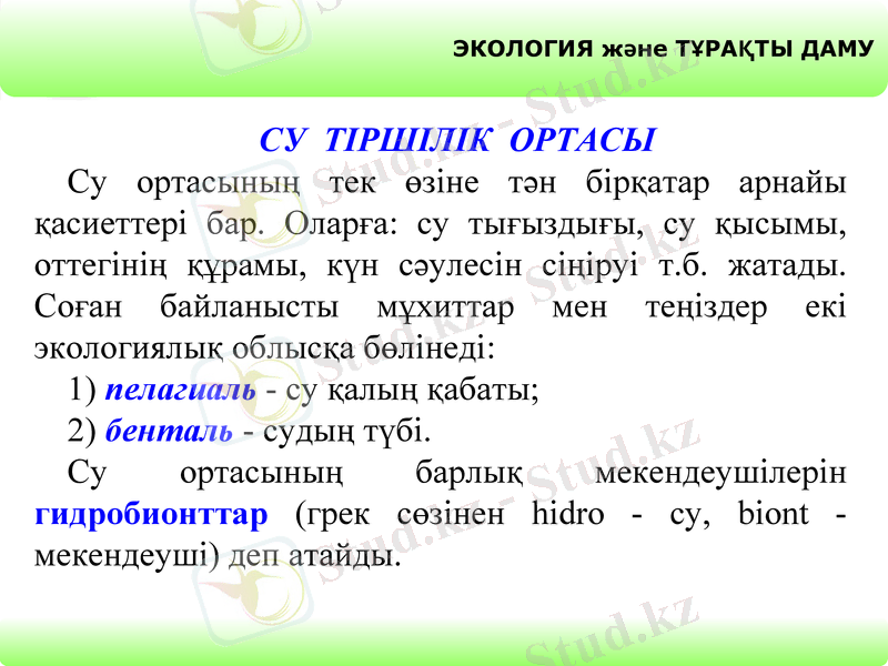 Slide 7