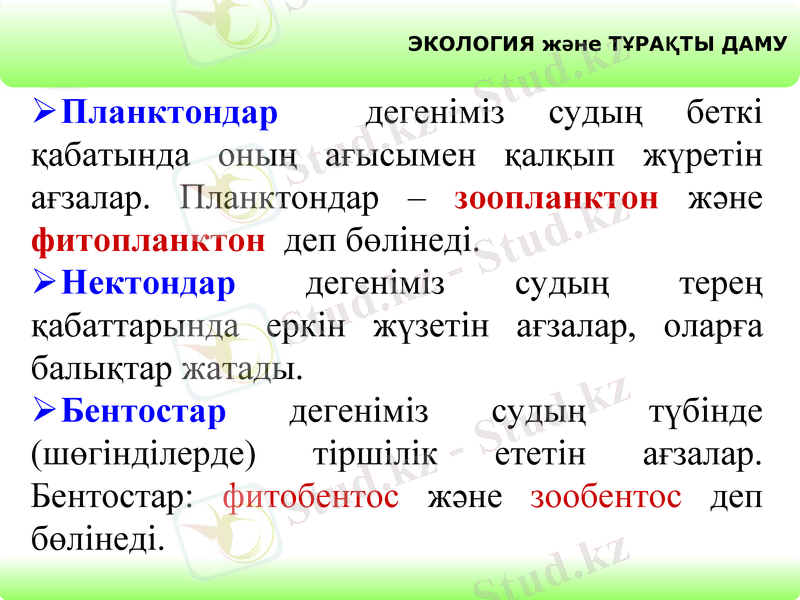 Slide 8