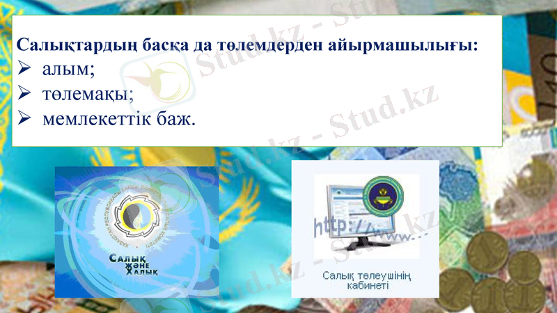 Slide 10