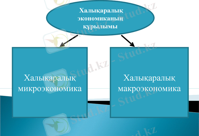 Slide 17