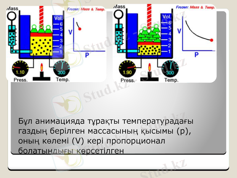 Slide 7