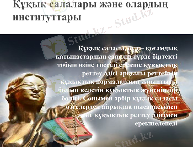 Slide 11