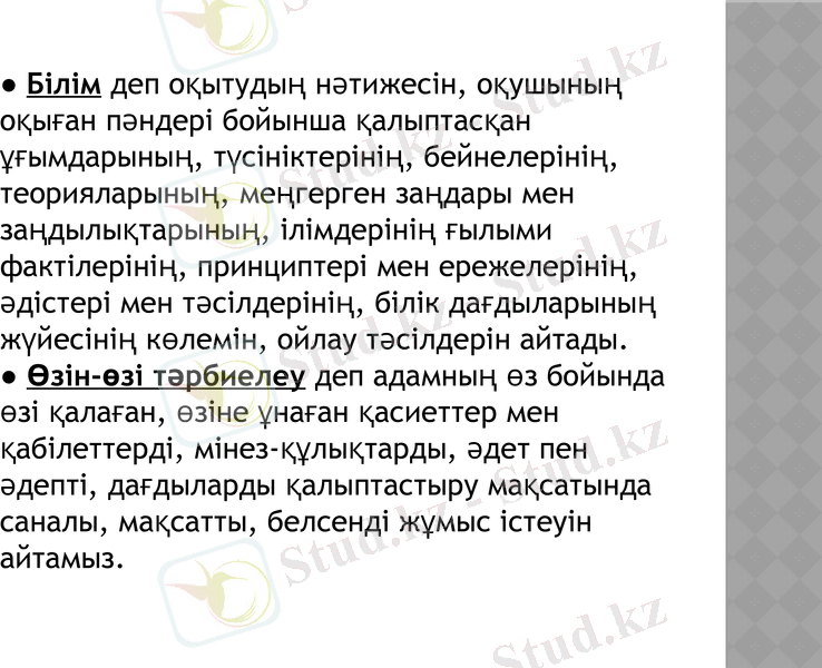 Slide 10