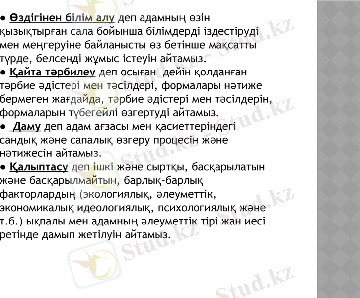 Slide 11