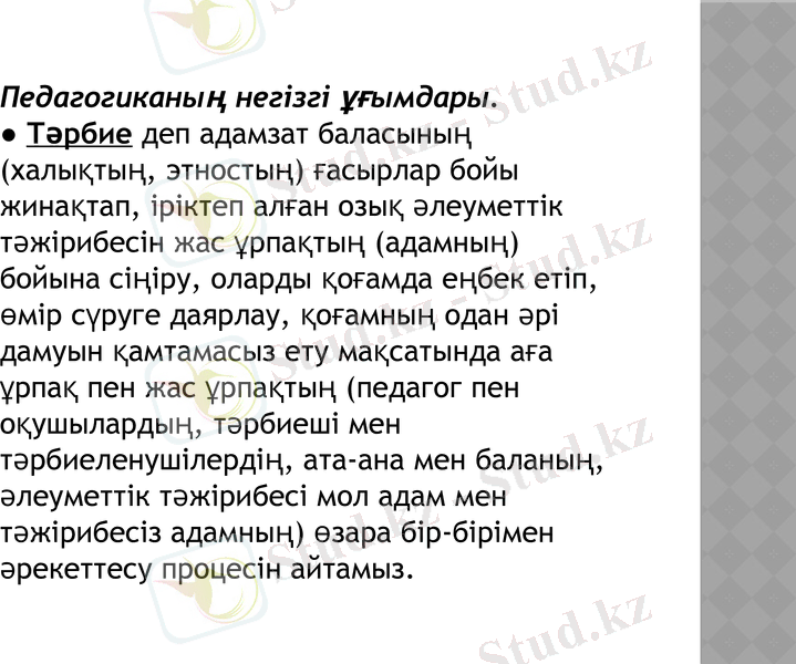 Slide 8