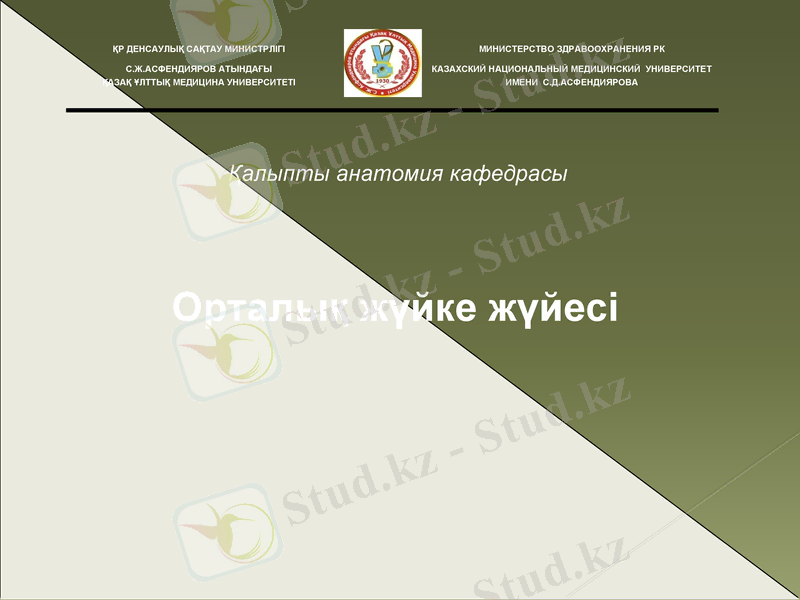 Slide 1