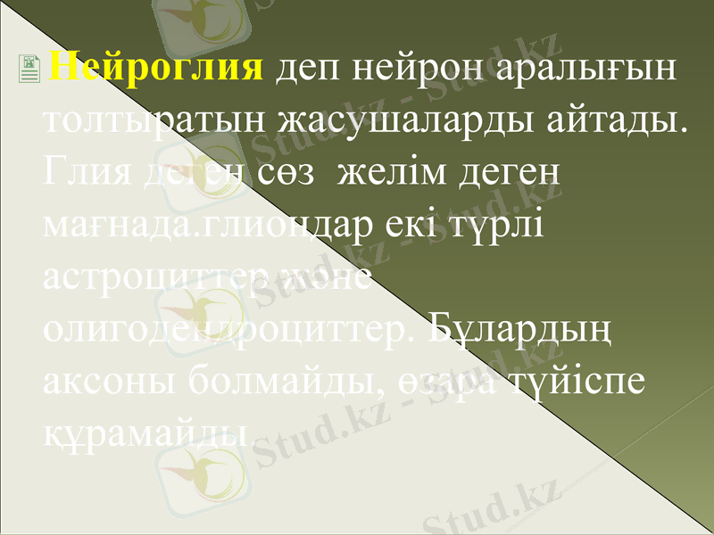 Slide 10