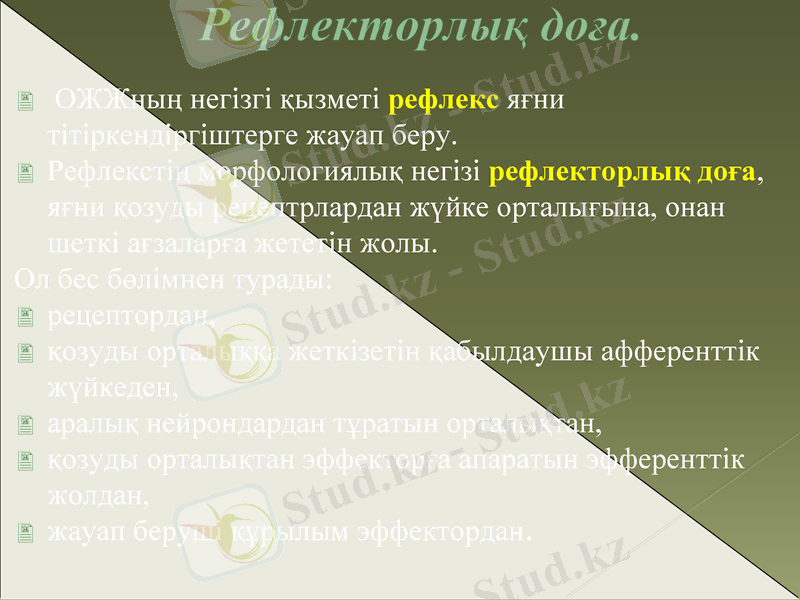 Slide 12