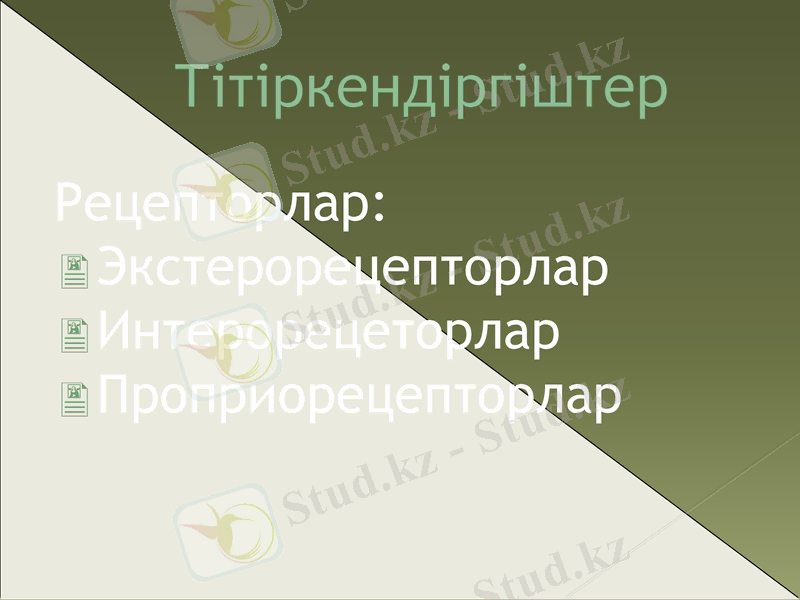 Slide 14