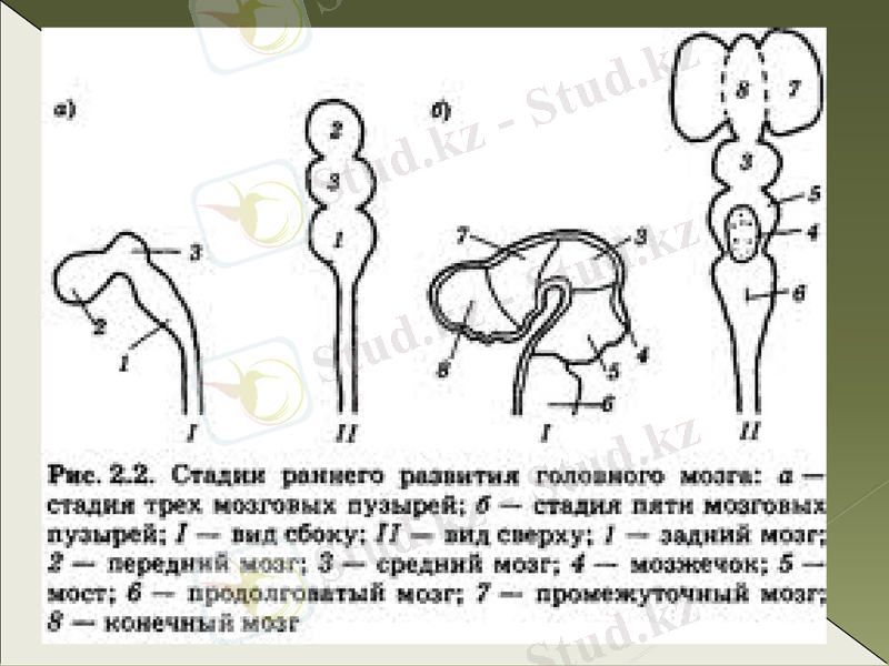 Slide 19