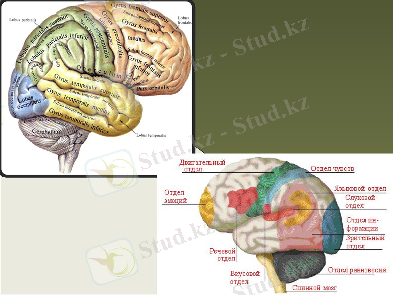 Slide 21