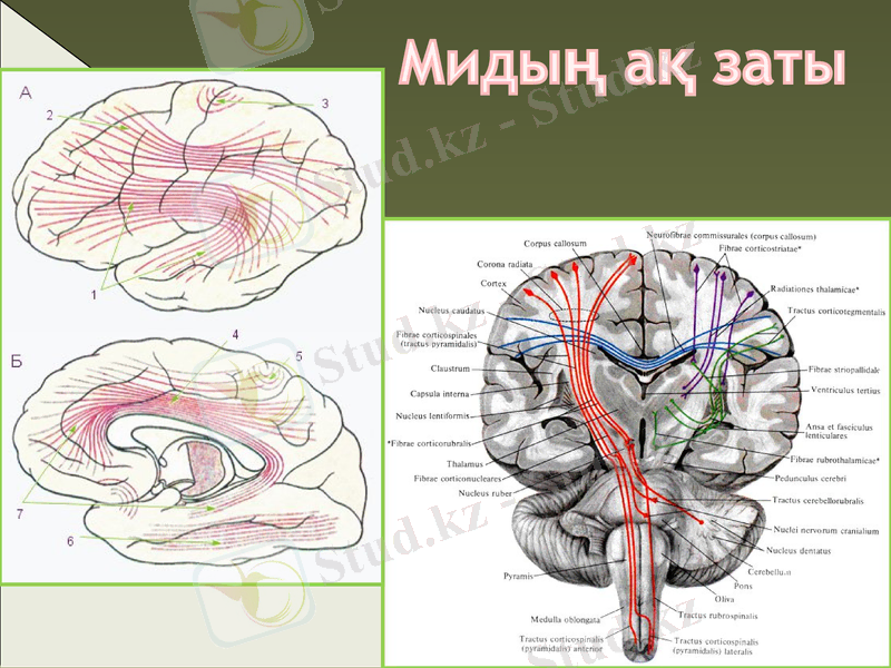 Slide 22