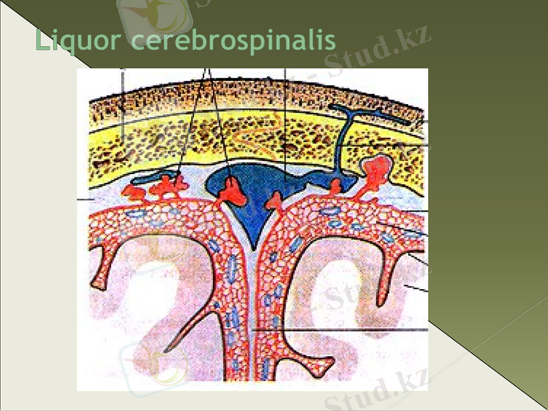 Slide 25