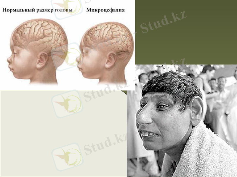 Slide 27