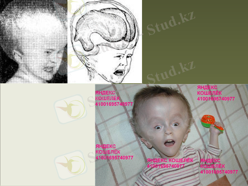 Slide 28
