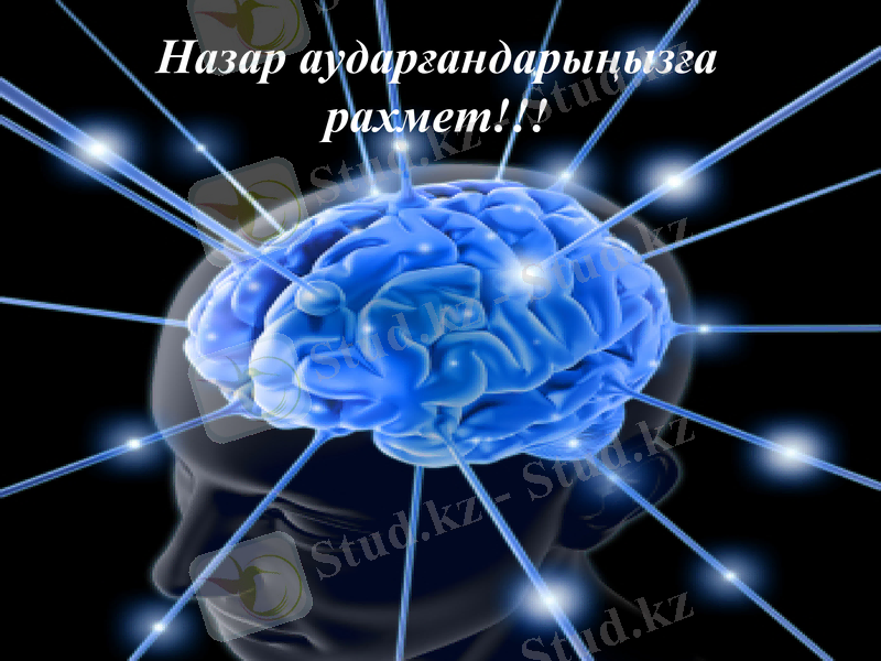 Slide 33