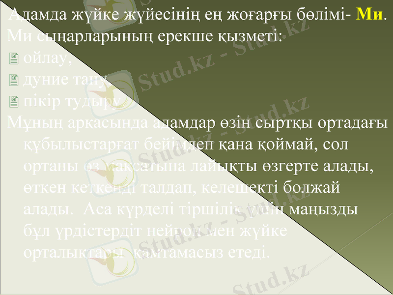 Slide 5