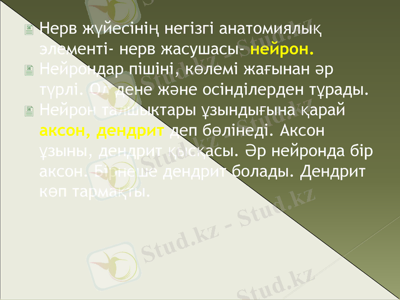 Slide 6