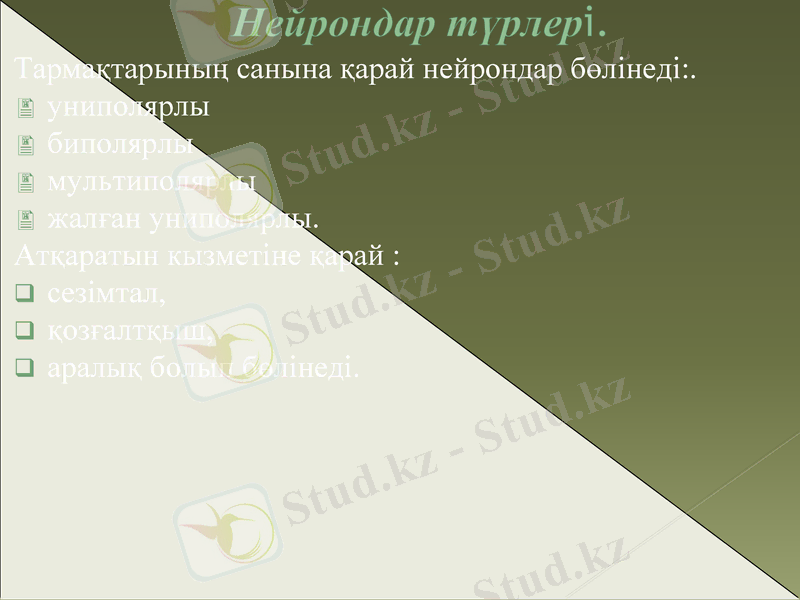 Slide 7