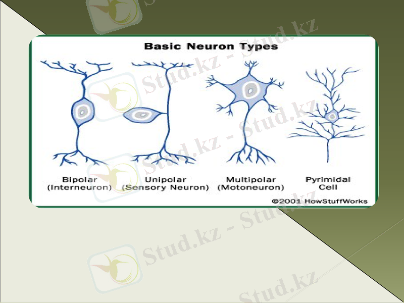 Slide 8
