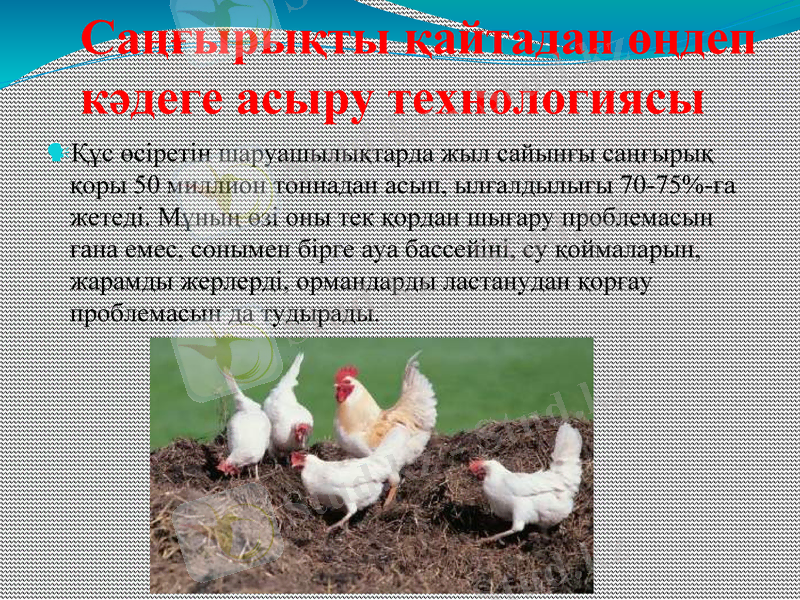Slide 1