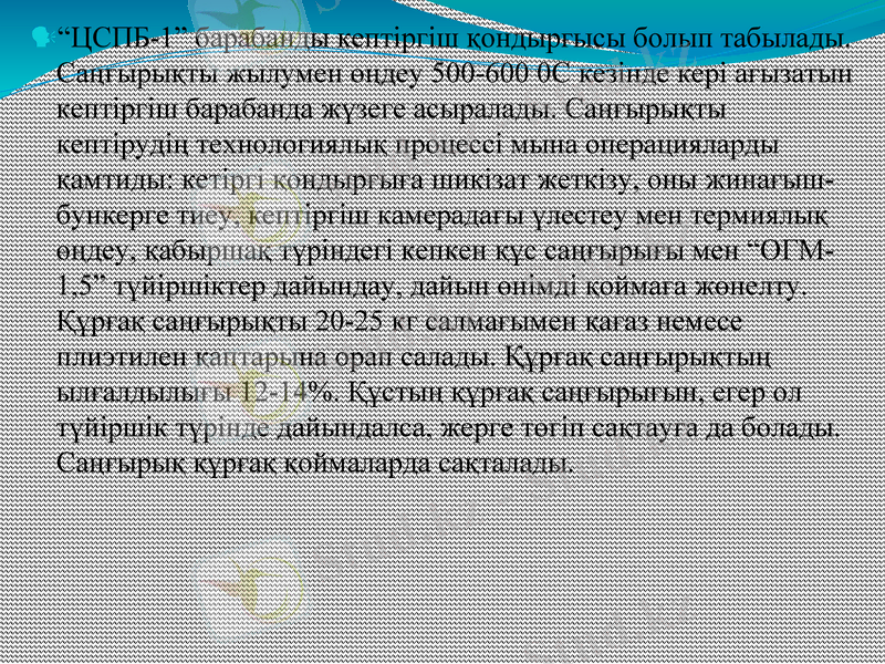 Slide 10