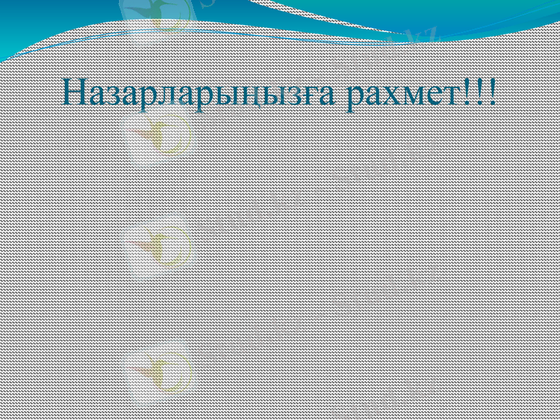 Slide 11