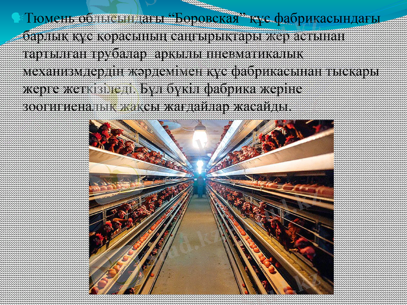 Slide 5