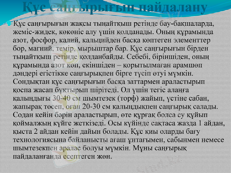 Slide 7