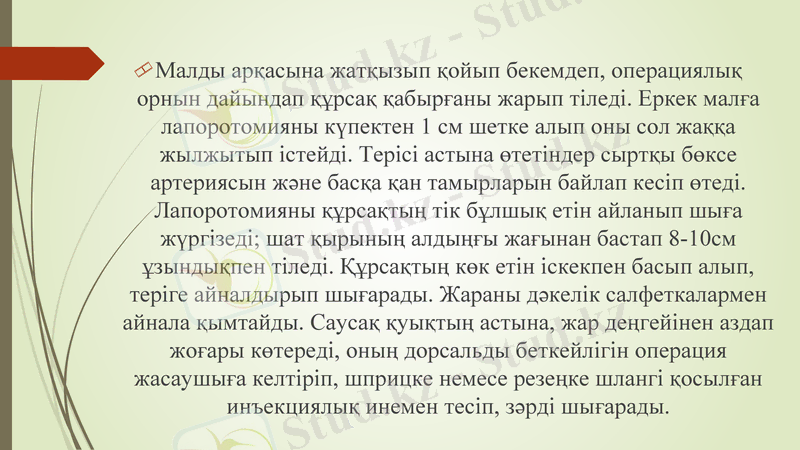 Slide 13