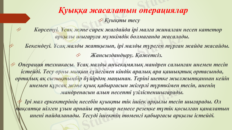 Slide 6