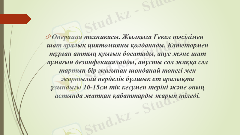 Slide 8