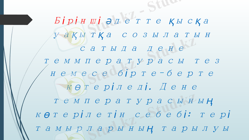 Slide 7