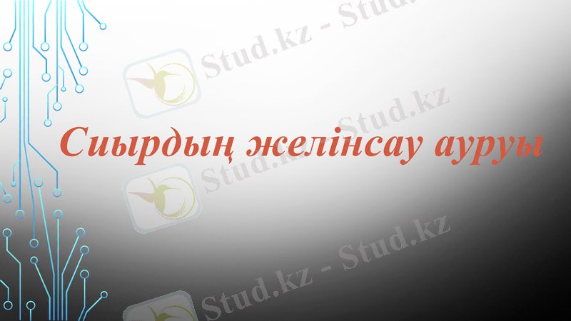 Slide 1