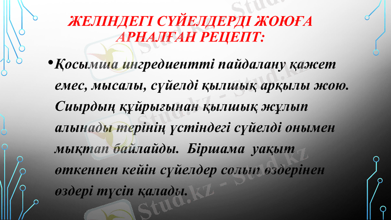Slide 13