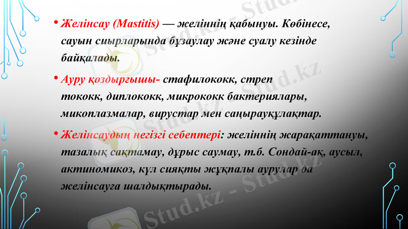 Slide 2
